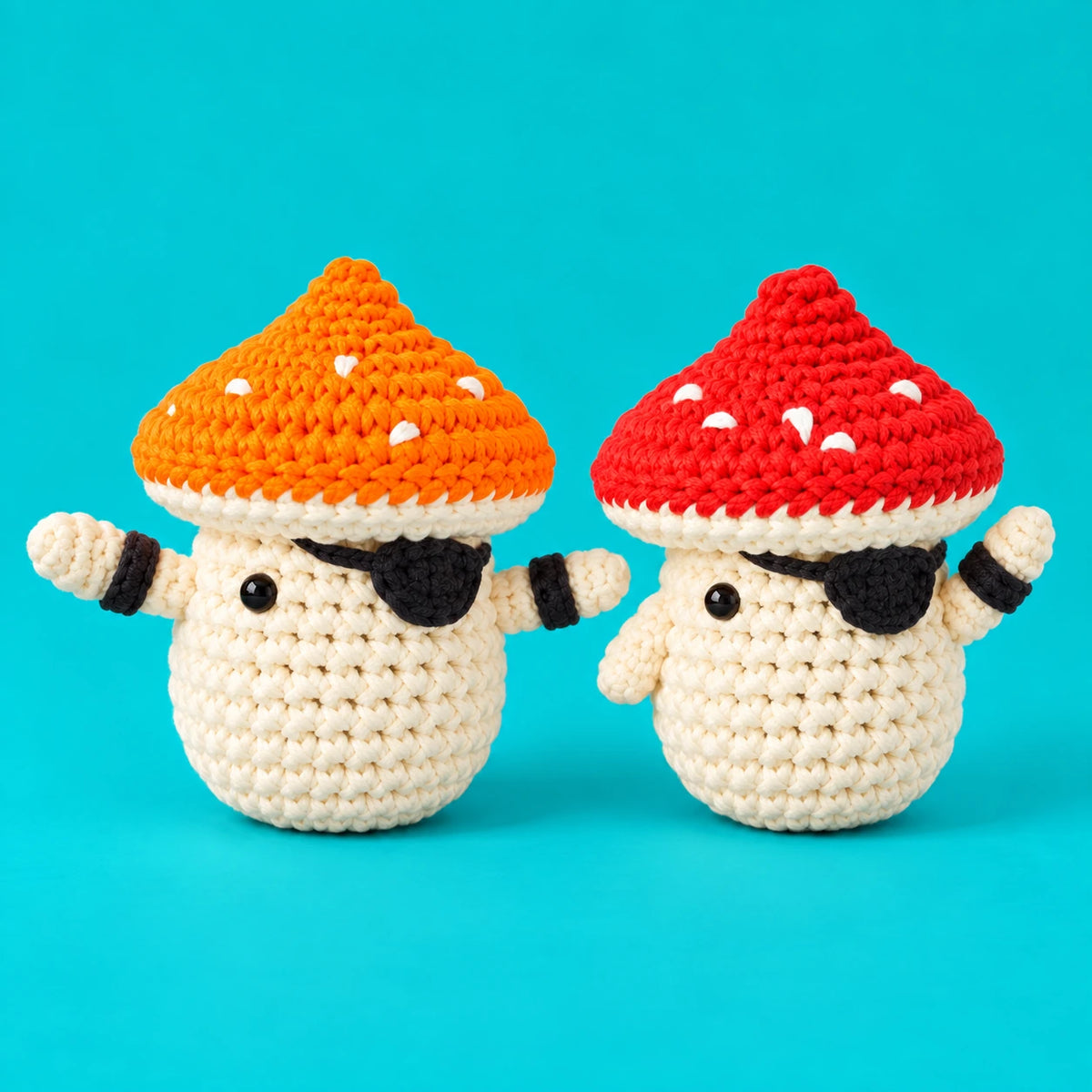 Léandre & Raymond — Les champignons pirates au crochet — vue principale.