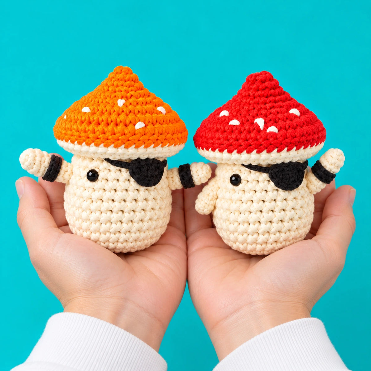 Léandre & Raymond — Les champignons pirates au crochet — présentation en main.