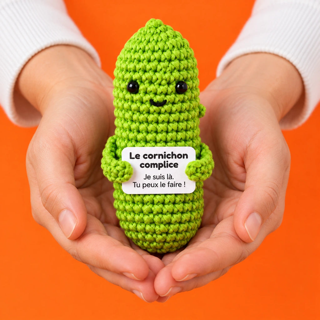 Yvon — Le cornichon complice au crochet — présentation en main.