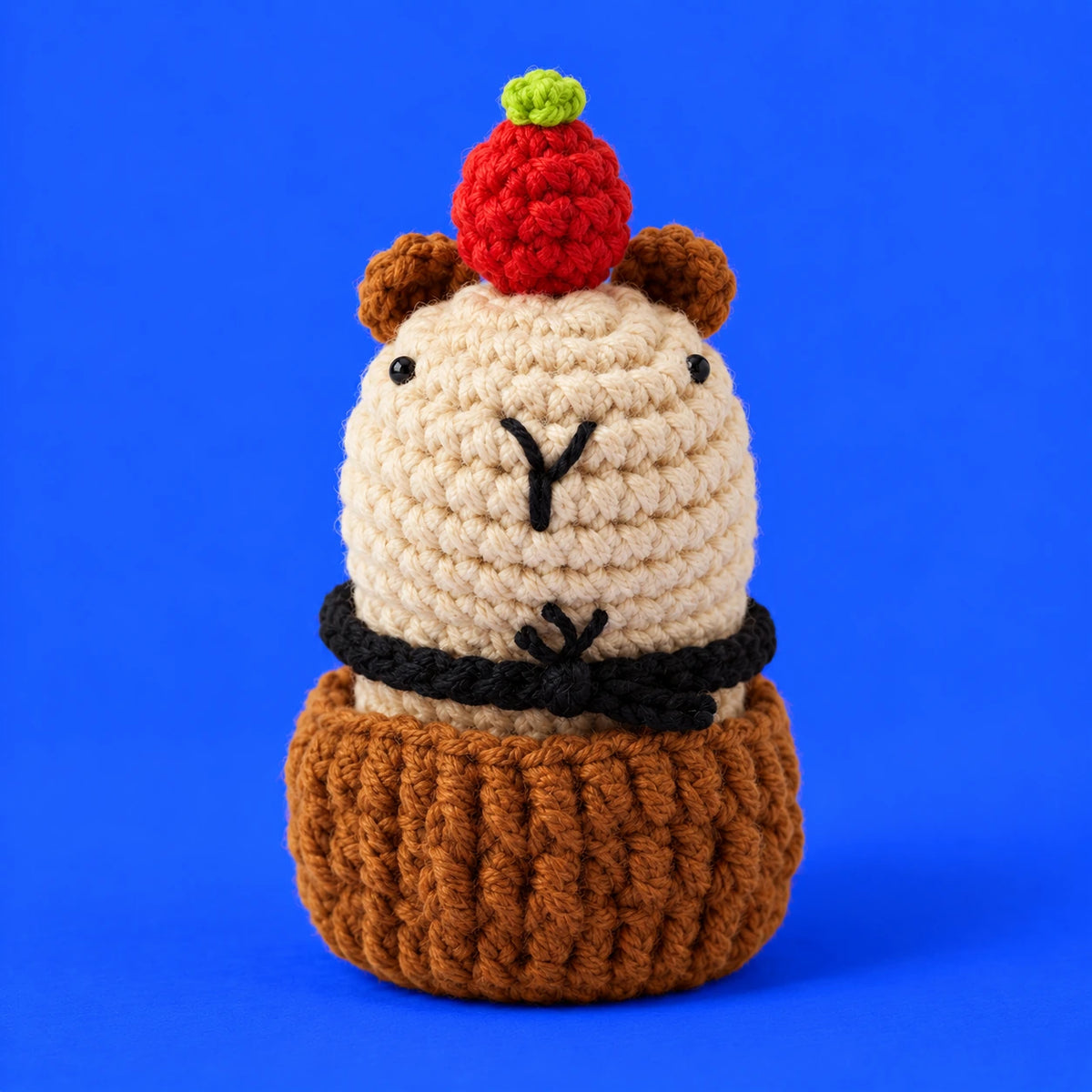 Armand — Le petit gourmand au crochet — vue principale.