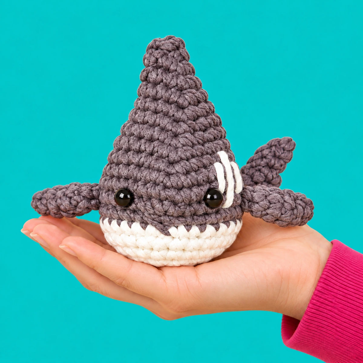 Martin — Requin gris au crochet — présentation en main.